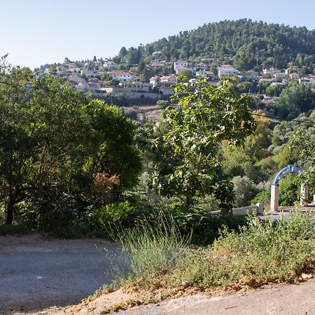 Harmony Inn Safed Bagian luar foto