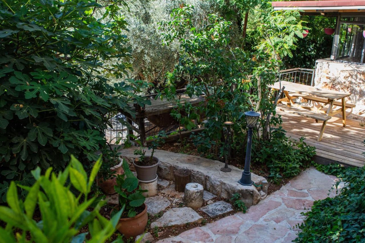Harmony Inn Safed Bagian luar foto