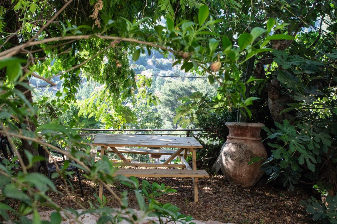 Harmony Inn Safed Bagian luar foto